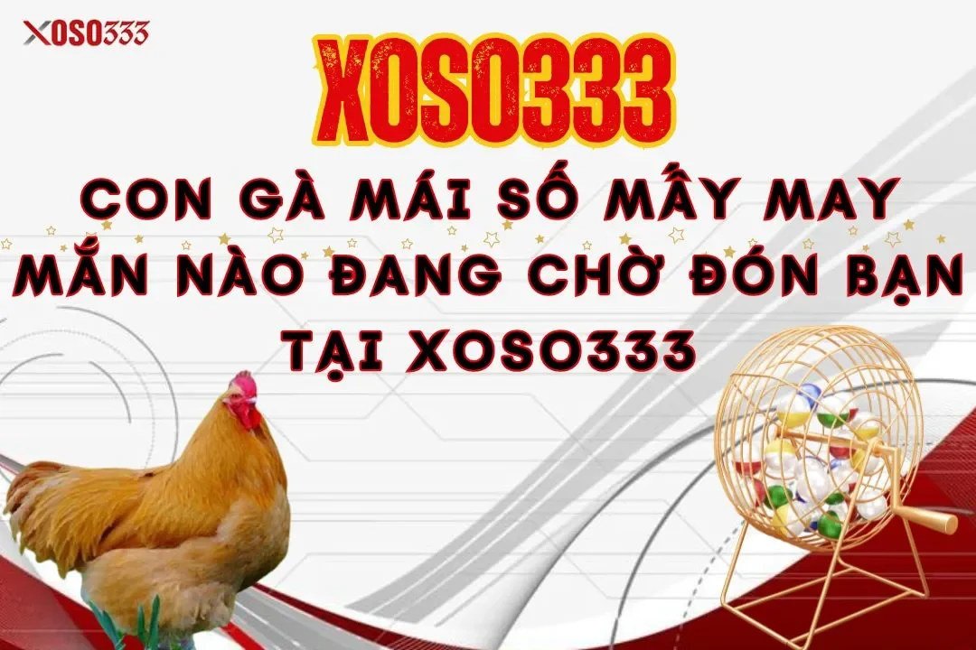 Con gà mái số mấy may mắn nào đang chờ đón bạn tại Xoso333 1 Con gà mái số mấy may mắn nào đang chờ đón bạn tại Xoso333